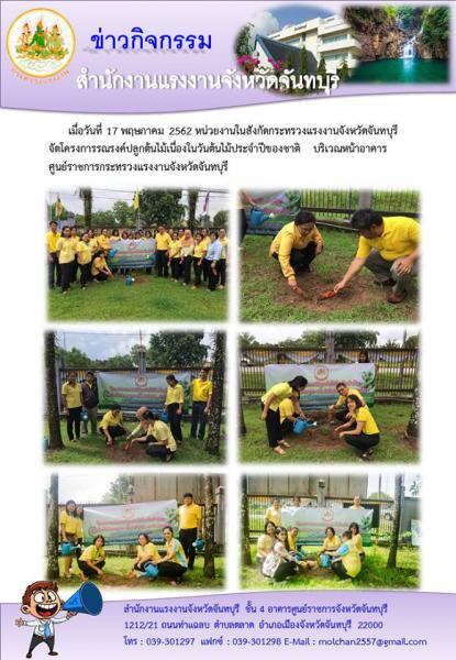 Mol-Thailand